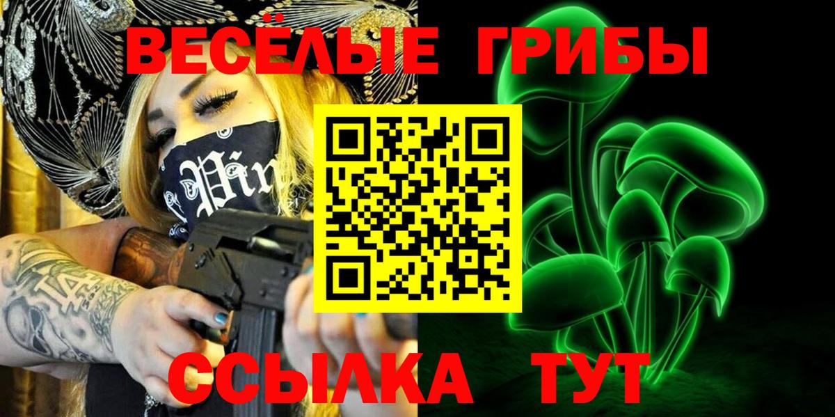 Псилоцибиновые грибы Psilocybe Славянск-на-Кубани