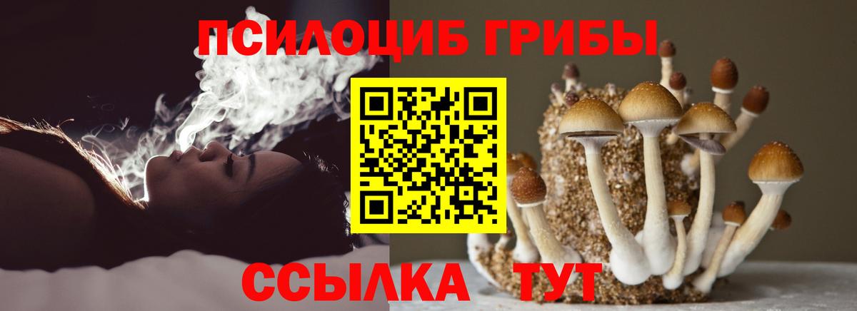 Галлюциногенные грибы мухоморы  Вход с VPN  Славянск-на-Кубани 